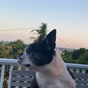 Meet your Posher, Colin